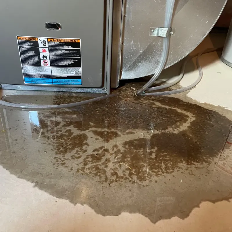 Appliance Leak Cleanup in West Monroe, MI