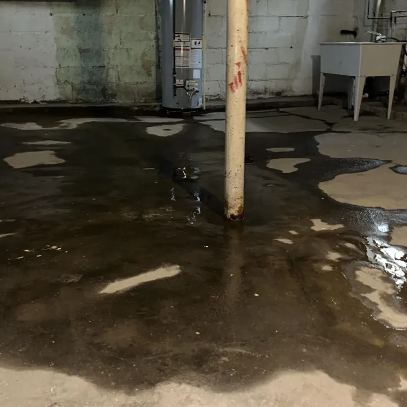 Emergency Water Extraction And Removal in West Monroe, MI